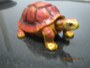 Turtle