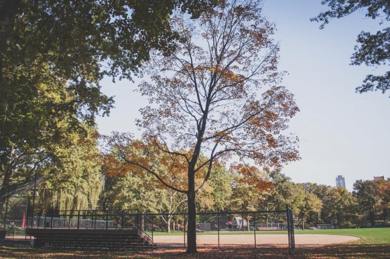 baseball diamond